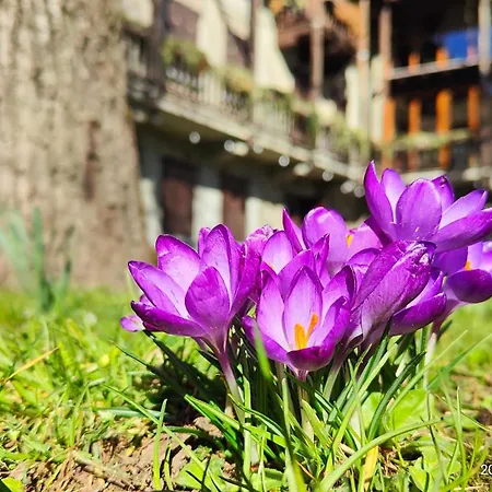 Cascina Silene Maison d'hôtes
